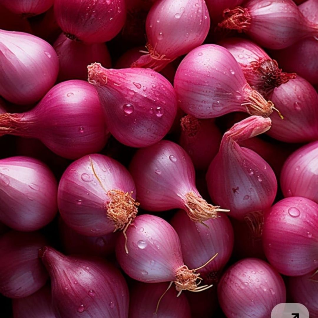 Onion