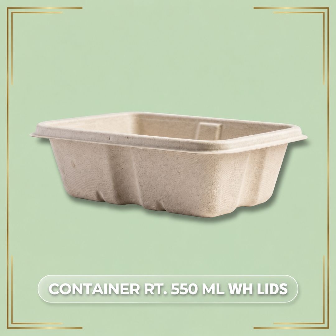 Rectangular Container With Lids Anti leak