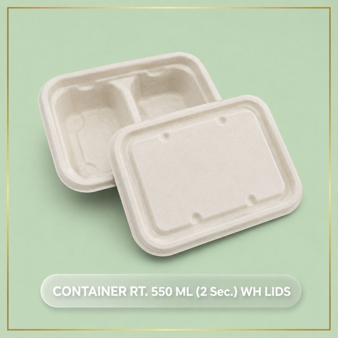 Rectangular Container with lids